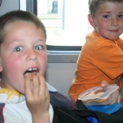 IMG 0856  Medium - Scouts en Gidsen Zaventem 